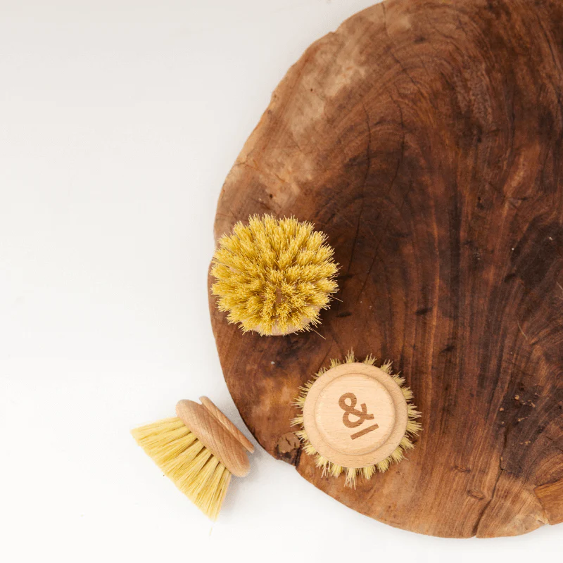 Dish Brush Head Replacement | 3pk Regular - Image 2