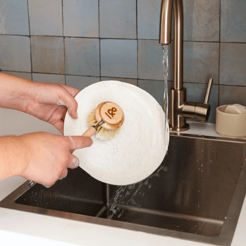 Dish Brush Head Replacement | 3pk Regular - Image 6