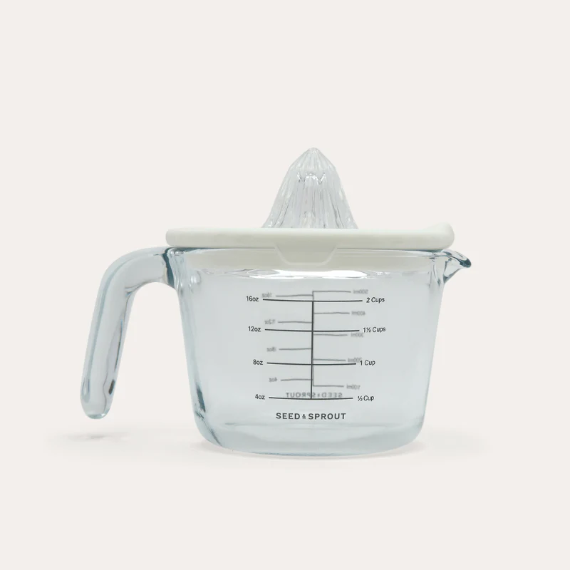 Glass and Silicone Juicer - Image 13