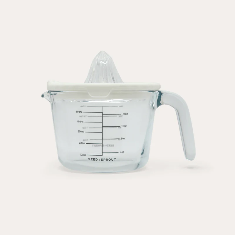 Glass and Silicone Juicer - Image 14