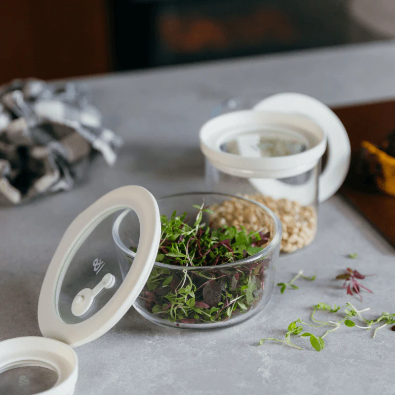 Glass Food Containers | Round Mixed 3pk - Image 5