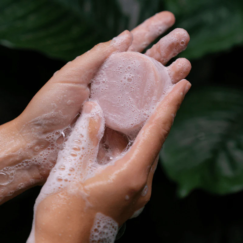 Shampoo & Conditioner Bar Set | Rose Geranium - Image 8