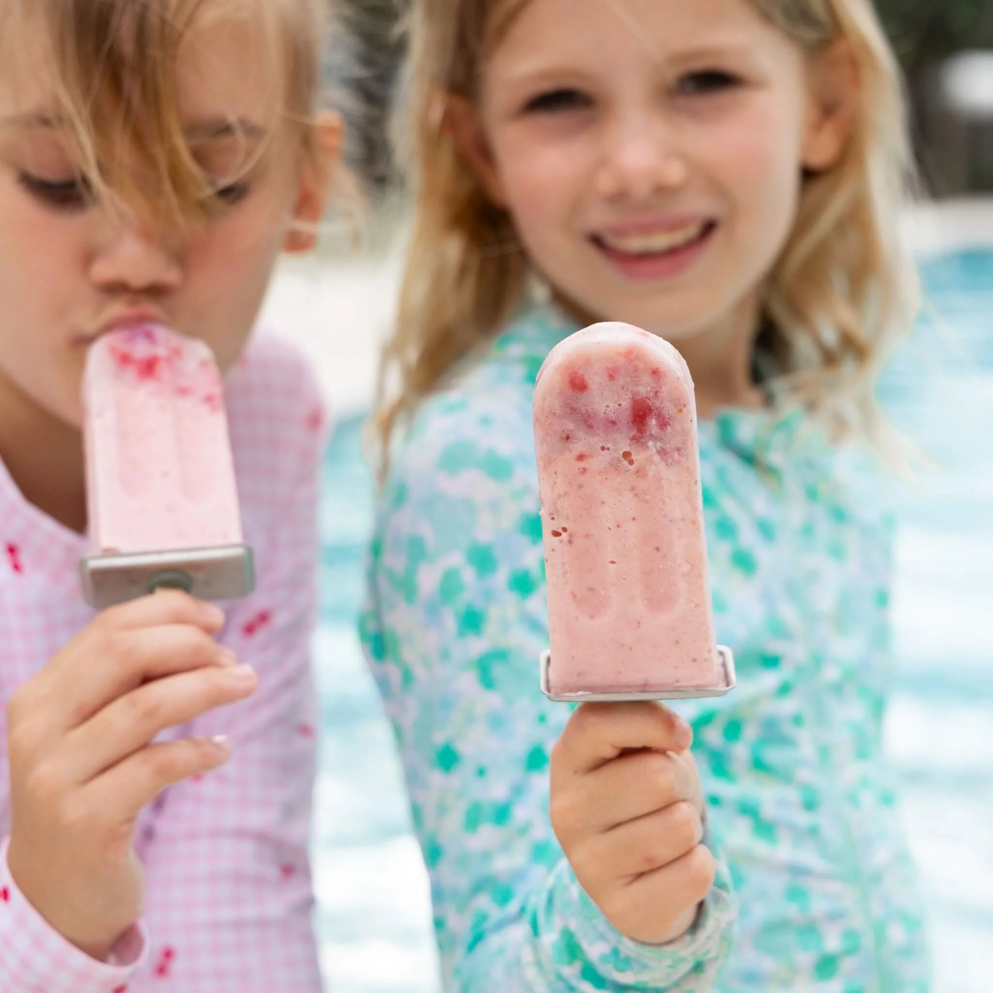 Stainless Steel Icy Pole Set - Image 2