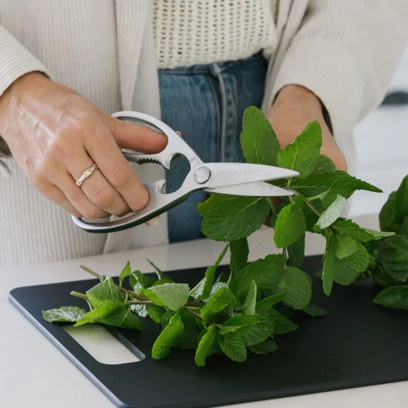 Stainless Steel Kitchen Scissors - Image 5